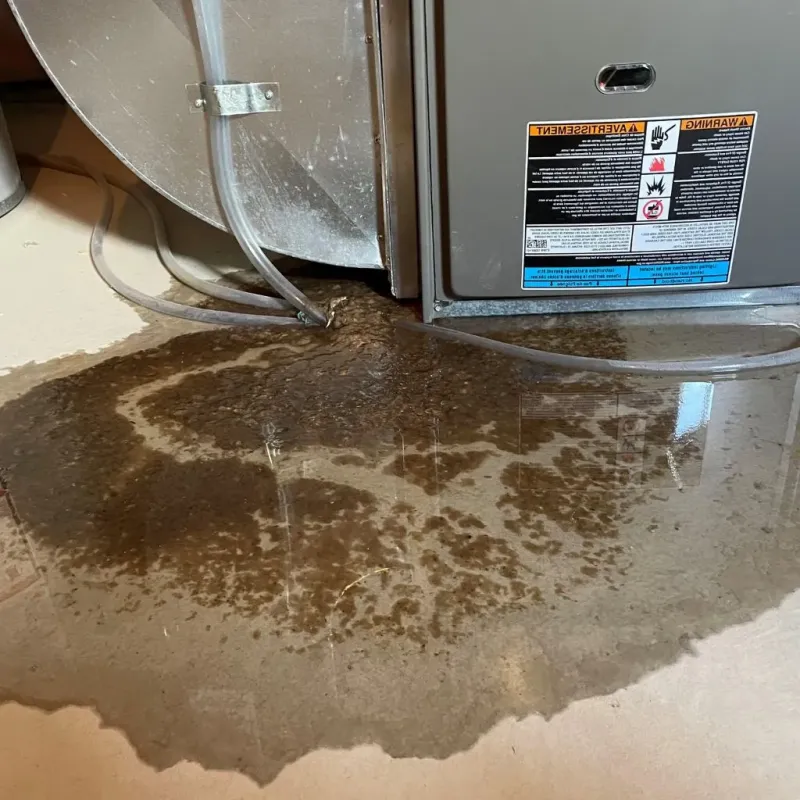Pipe Burst and Leak Restoration in Grabill, IN